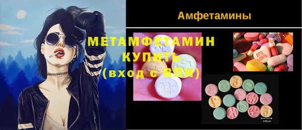 крисы Няндома