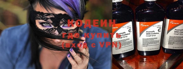 крисы Няндома