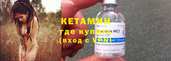 крисы Няндома