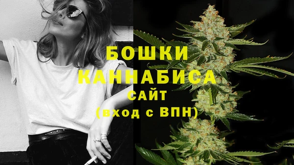 крисы Няндома