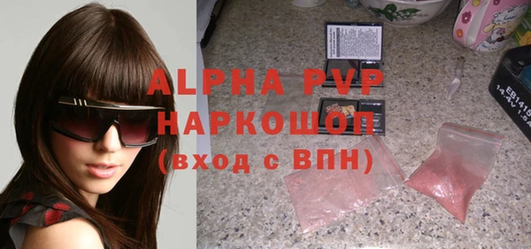 крисы Няндома