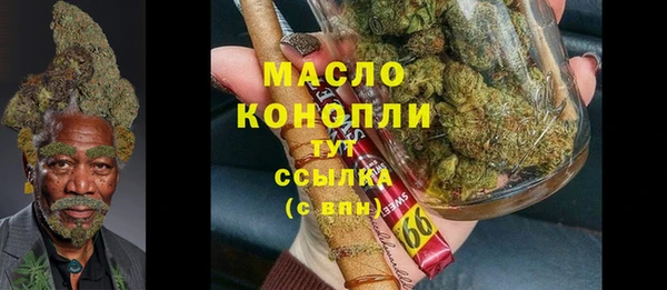 крисы Няндома