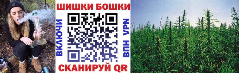 Бошки марихуана THC 21%  Купить закладки  Исилькуль 